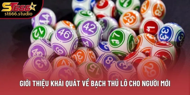 Giới thiệu khái quát về bạch thủ lô cho người mới