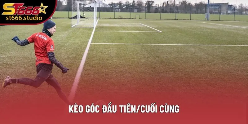 Đây là loại hình rất phù hợp với những ai quá bận rộn