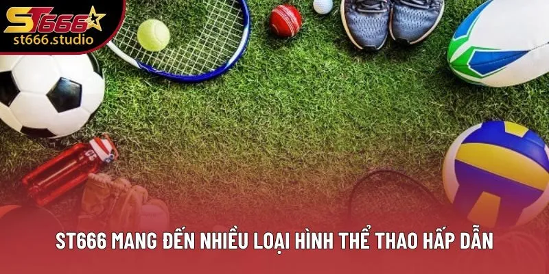 ST666 mang đến nhiều loại hình thể thao hấp dẫn