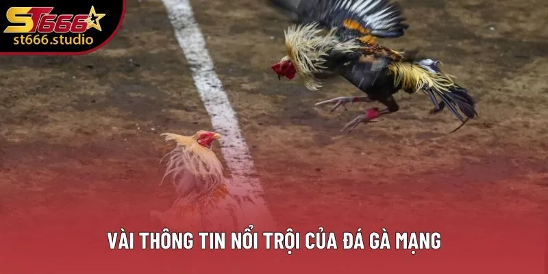 Vài thông tin nổi trội của đá gà mạng